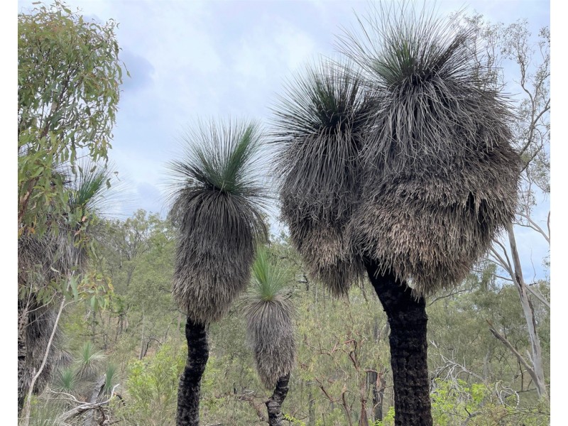 Lot 2 BLACKSNAKE ROAD, Kilkivan QLD 4600
