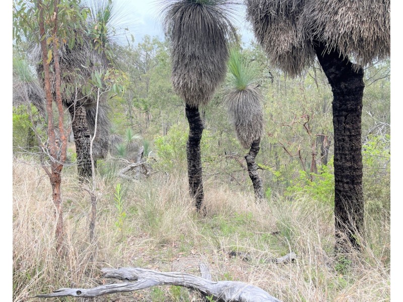 Lot 2 BLACKSNAKE ROAD, Kilkivan QLD 4600