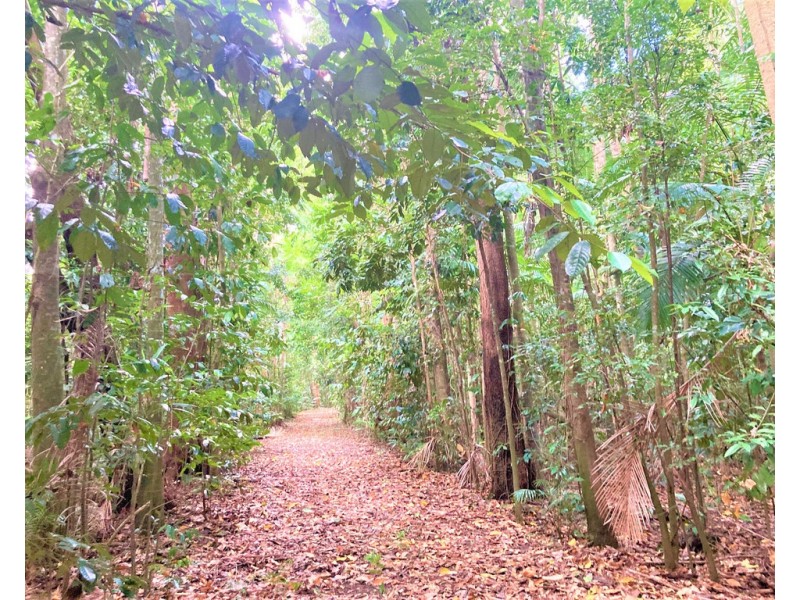 526 DAVIDSON ROAD, Tully QLD 4854