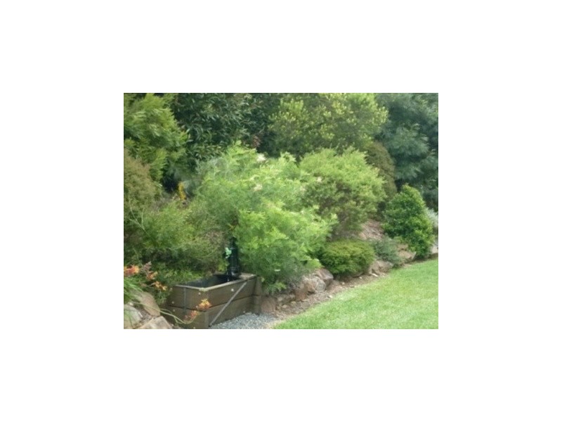 Cedar Pocket QLD 4570