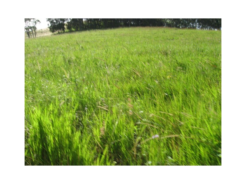 Glastonbury QLD 4570