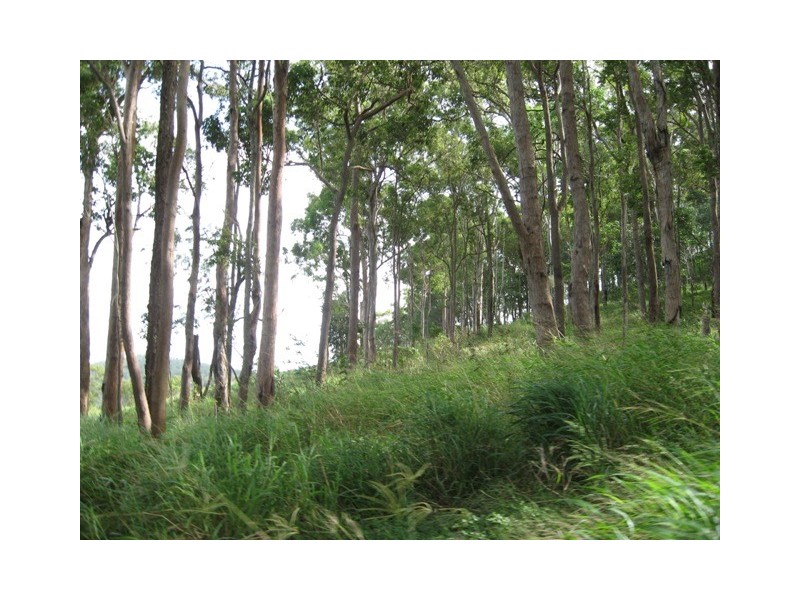 Glastonbury QLD 4570