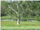 Anderleigh QLD 4570
