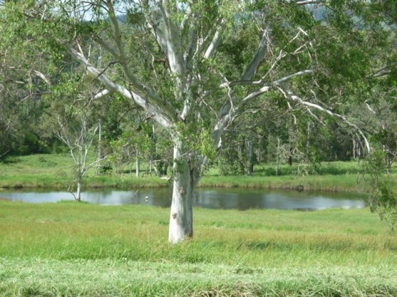 Anderleigh QLD 4570
