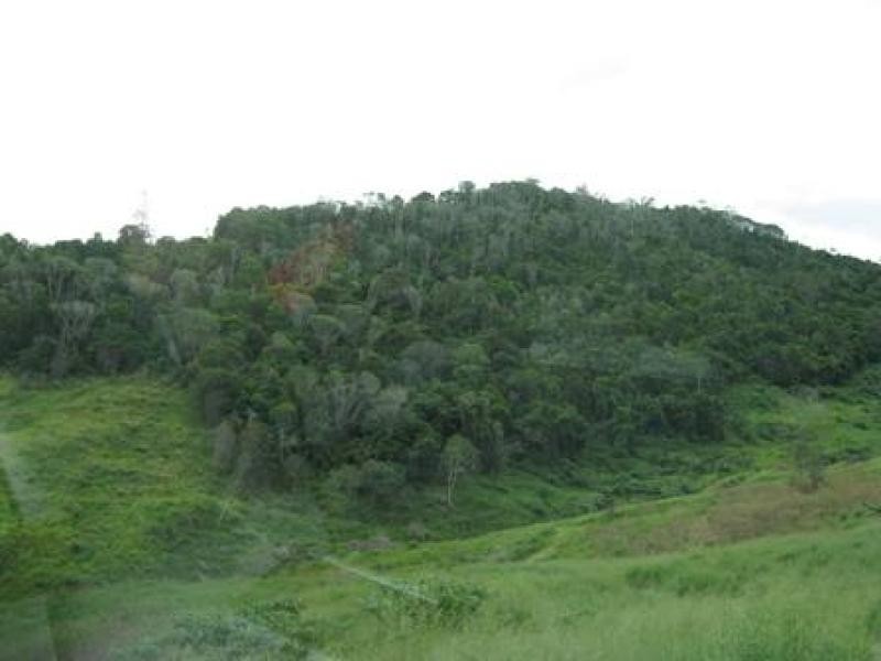 res Golden Hills Rd, Widgee QLD 4570