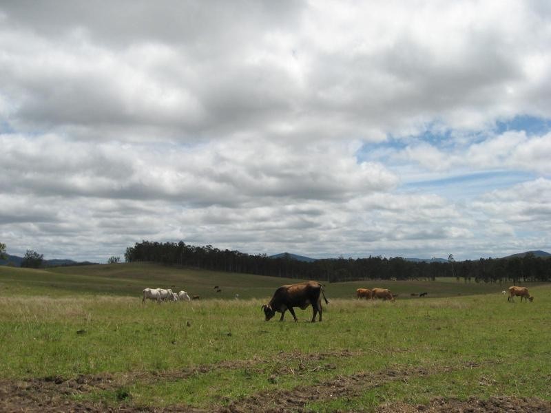 Widgee QLD 4570