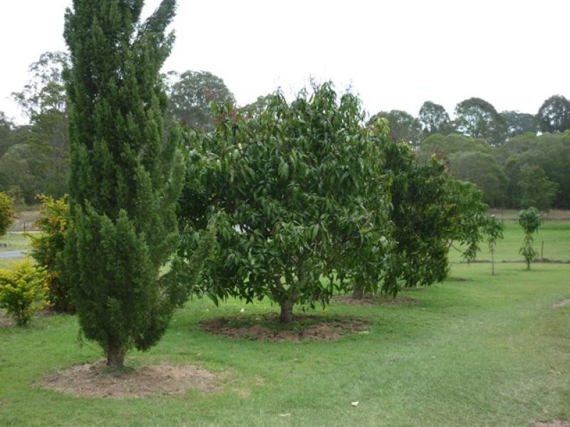 Curra QLD 4570