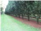 Wolvi QLD 4570