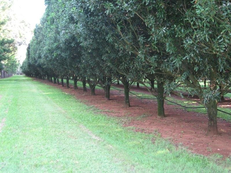 Wolvi QLD 4570