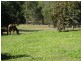 Downsfield QLD 4570