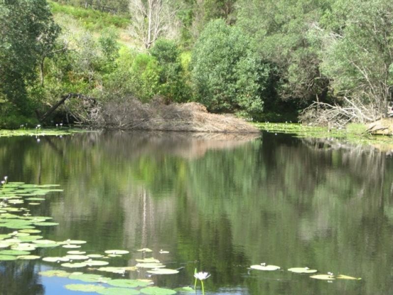 130 Phillips Rd, Veteran QLD 4570