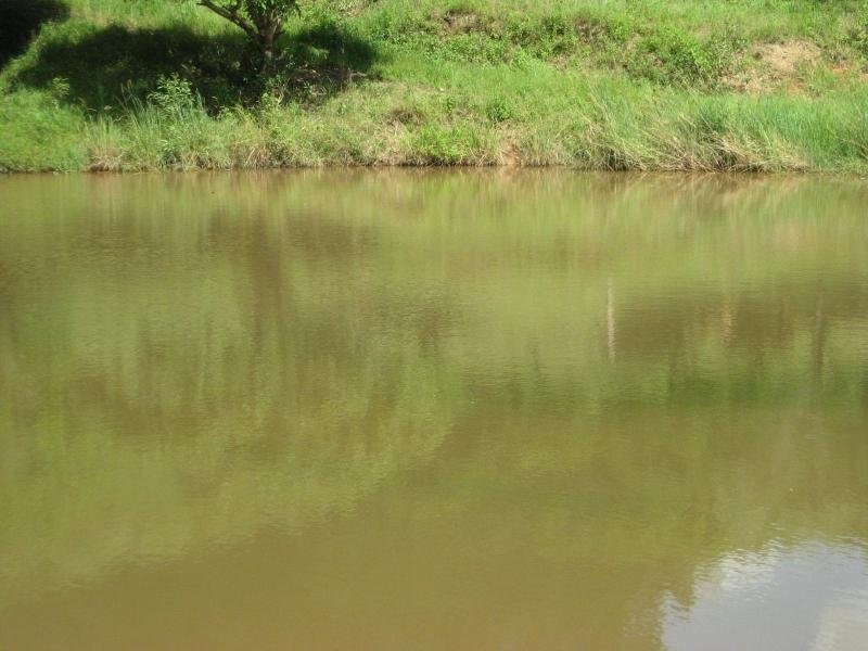 Cedar Pocket QLD 4570