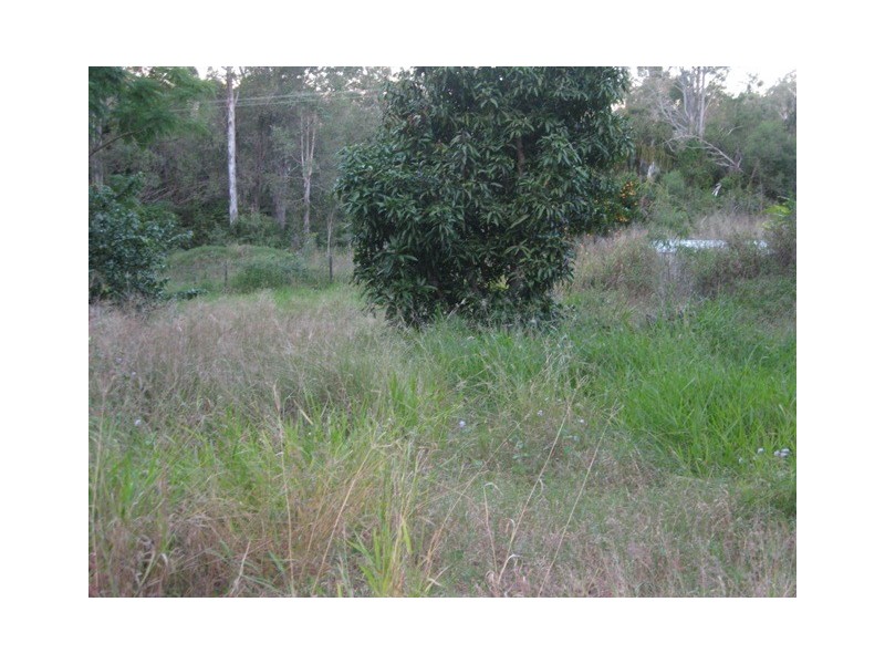 3 Tilba Road, The Palms QLD 4570