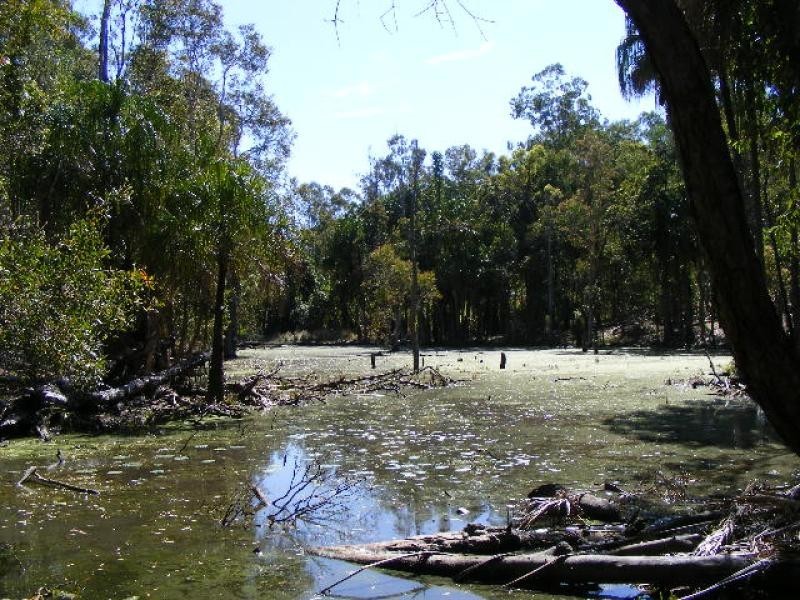 The Palms QLD 4570