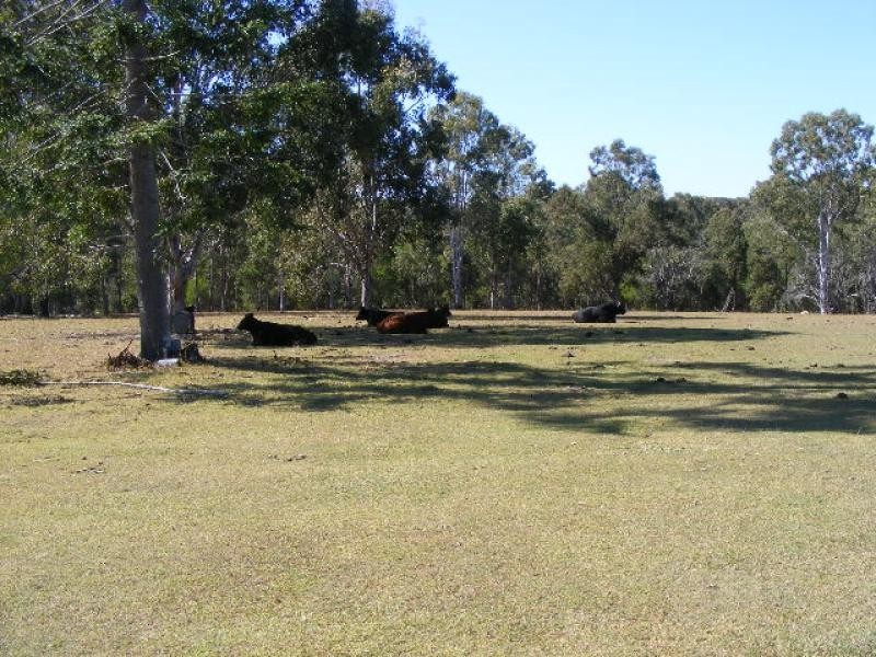 The Palms QLD 4570