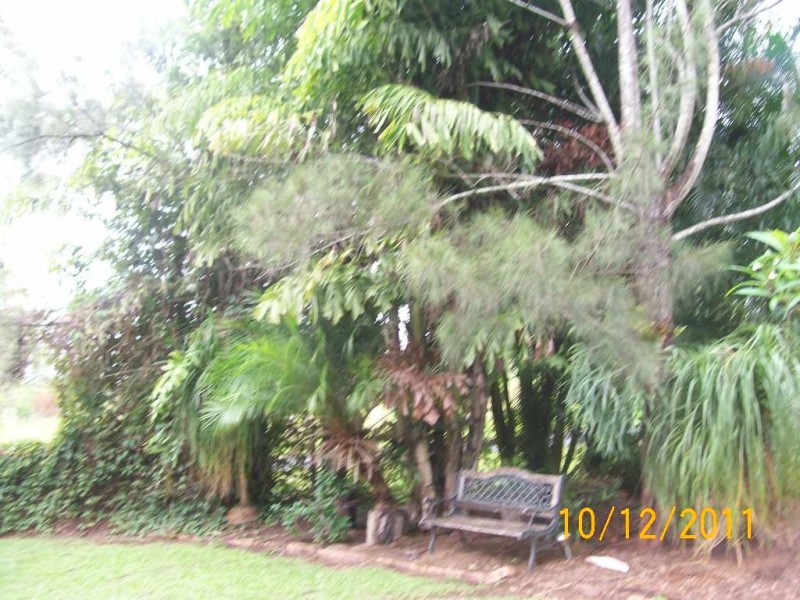178 Ballard Road, Imbil QLD 4570