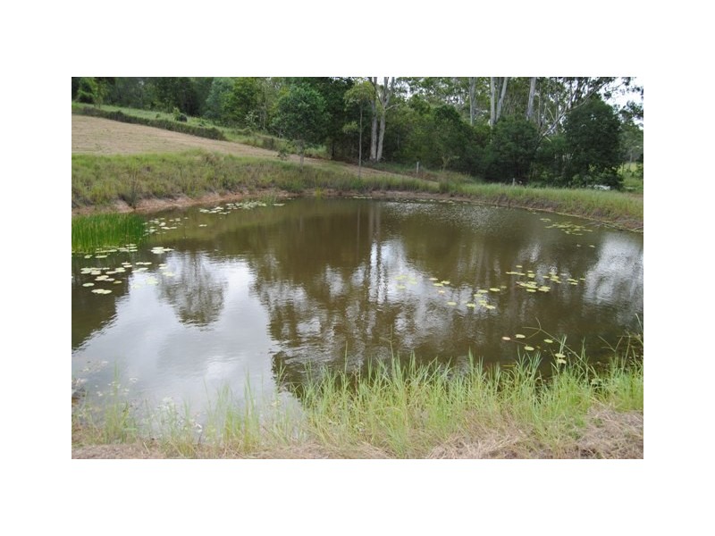 Lot 15 Green Trees Rd,, Pie Creek QLD 4570