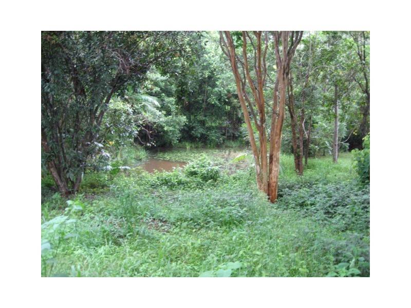 10 Palmer St, Kin Kin QLD 4571
