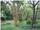 10 Palmer St, Kin Kin QLD 4571