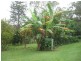 2320 Anderleigh Rd, Neerdie QLD 4570