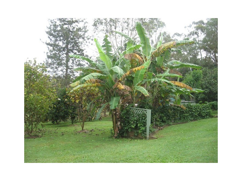 2320 Anderleigh Rd, Neerdie QLD 4570