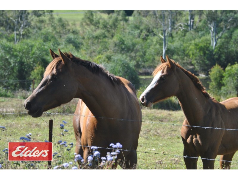 113 Fritz Rd, Chatsworth QLD 4570