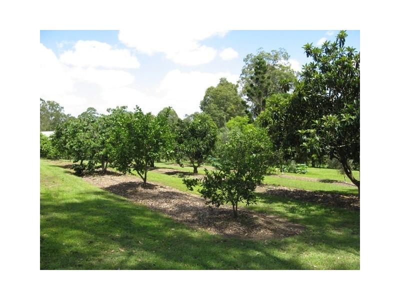 Cedar Pocket QLD 4570