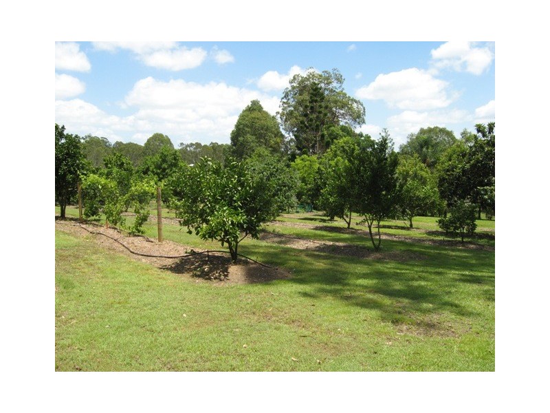 Cedar Pocket QLD 4570