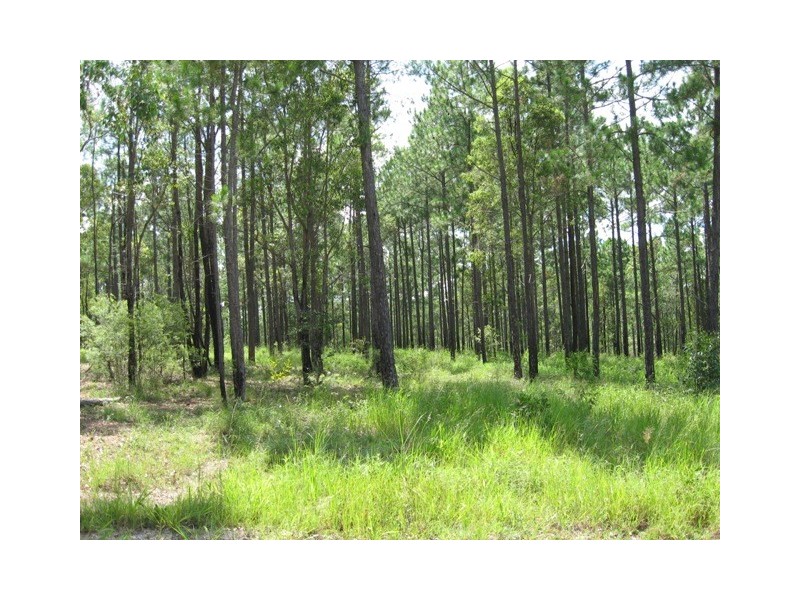 Lot 696 Arbor26 Rd, Glenwood QLD 4570