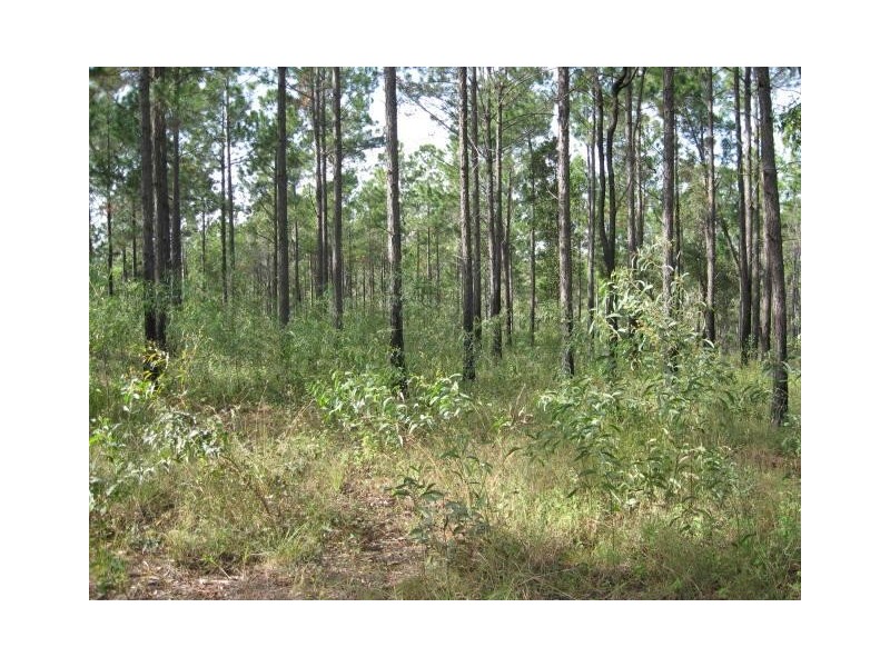 Lot 696 Arbor26 Rd, Glenwood QLD 4570