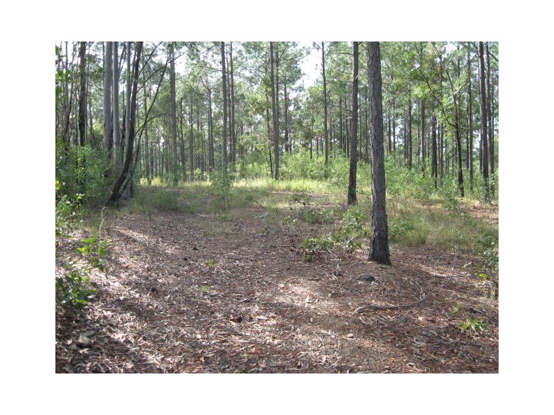 Lot 696 Arbor26 Rd, Glenwood QLD 4570
