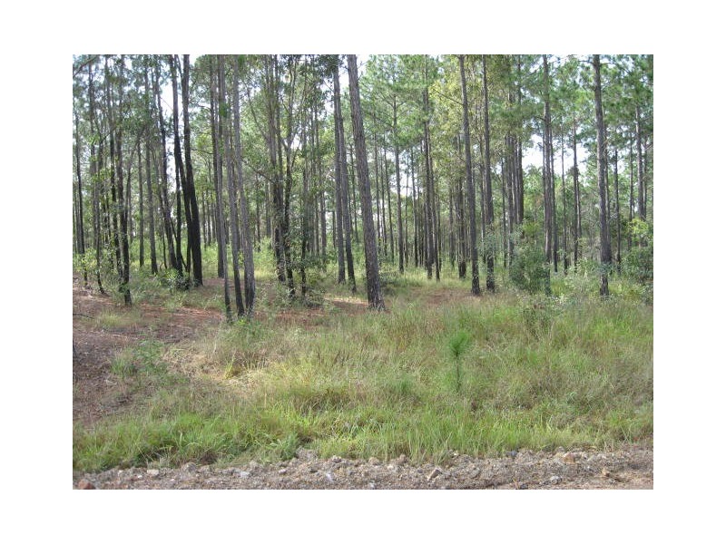 Lot 696 Arbor26 Rd, Glenwood QLD 4570