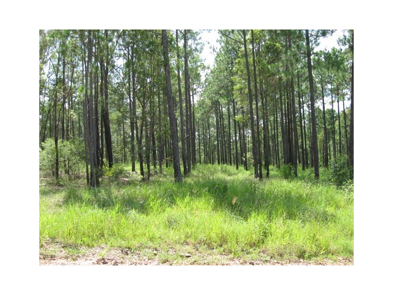 Lot 696 Arbor26 Rd, Glenwood QLD 4570