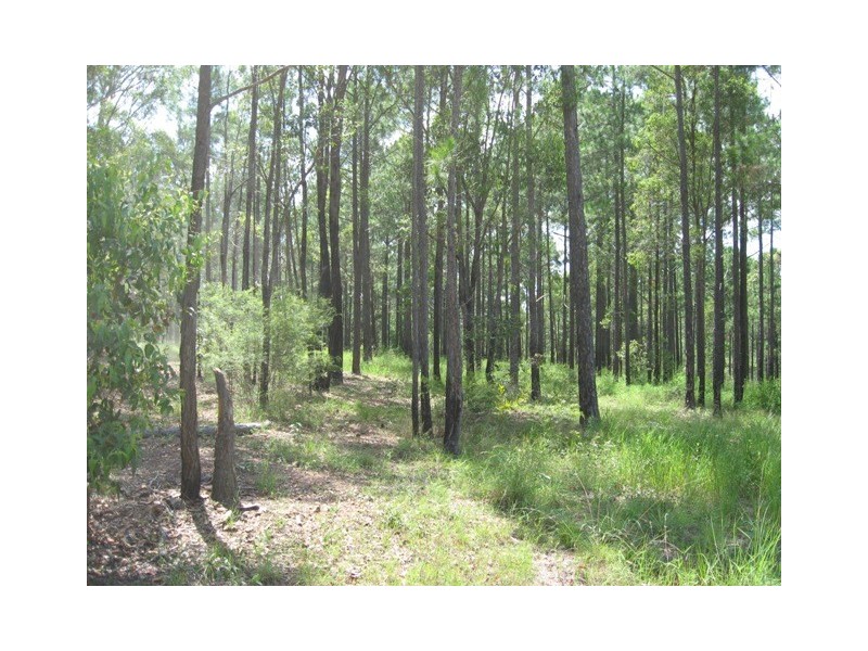 Lot 696 Arbor26 Rd, Glenwood QLD 4570