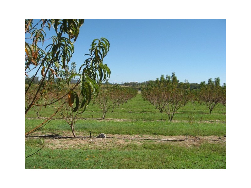 1891 Anderleigh Rd, Anderleigh QLD 4570