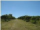 1891 Anderleigh Rd, Anderleigh QLD 4570
