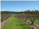 1891 Anderleigh Rd, Anderleigh QLD 4570