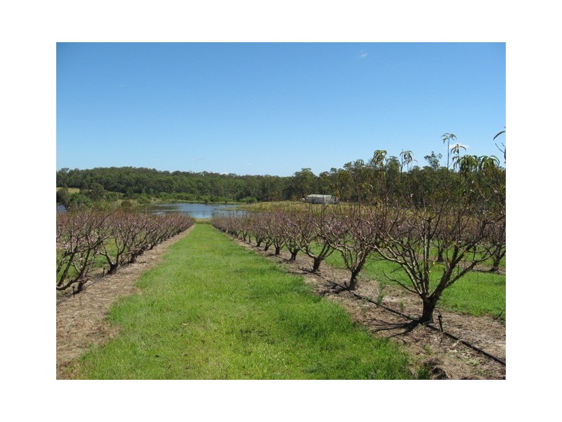 1891 Anderleigh Rd, Anderleigh QLD 4570