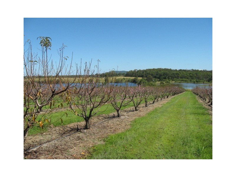 1891 Anderleigh Rd, Anderleigh QLD 4570