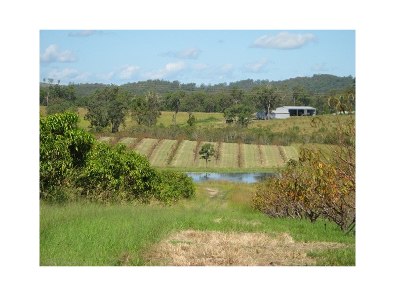 1891 Anderleigh Rd, Anderleigh QLD 4570