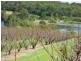 1891 Anderleigh Rd, Anderleigh QLD 4570