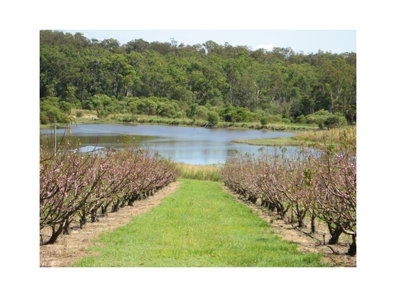 1891 Anderleigh Rd, Anderleigh QLD 4570