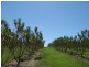 1891 Anderleigh Rd, Anderleigh QLD 4570