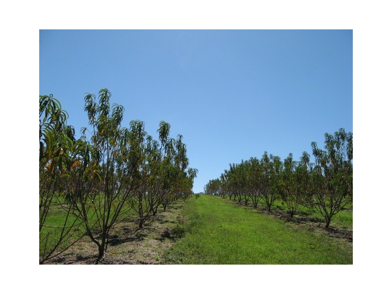 1891 Anderleigh Rd, Anderleigh QLD 4570