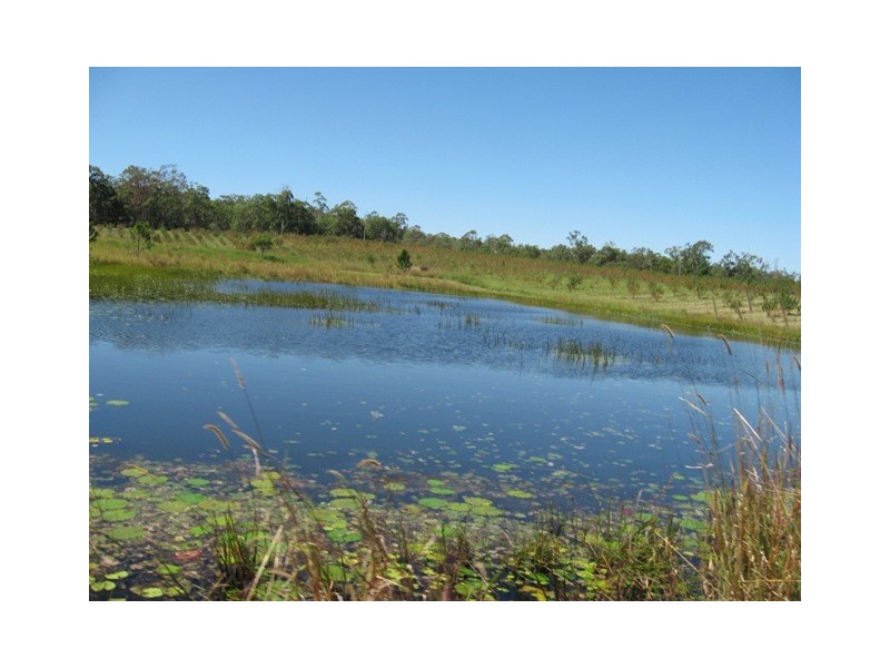 1891 Anderleigh Rd, Anderleigh QLD 4570