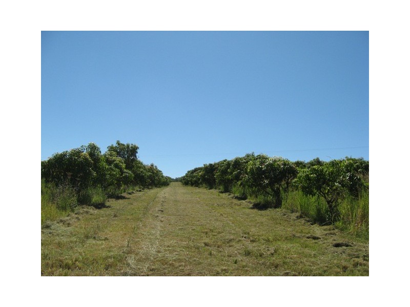 1891 Anderleigh Rd, Anderleigh QLD 4570
