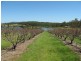 1891 Anderleigh Rd, Anderleigh QLD 4570