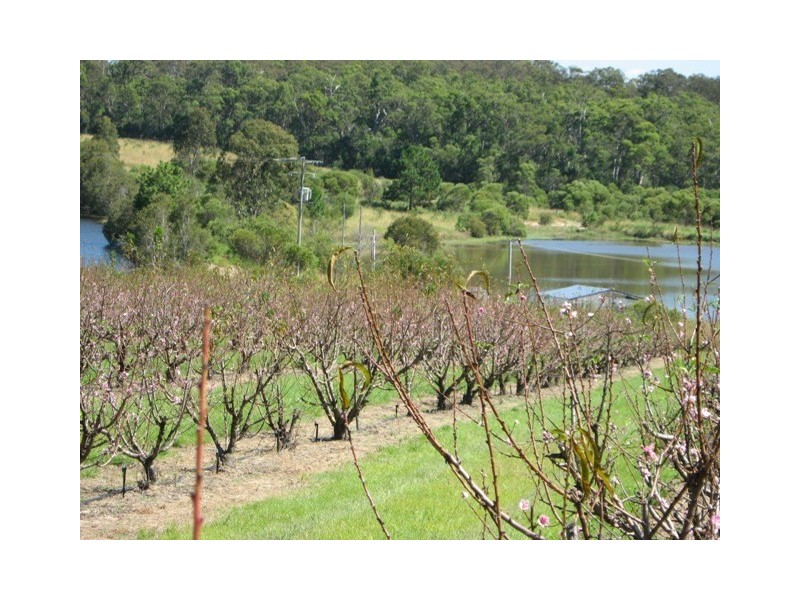 1891 Anderleigh Rd, Anderleigh QLD 4570