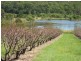 1891 Anderleigh Rd, Anderleigh QLD 4570