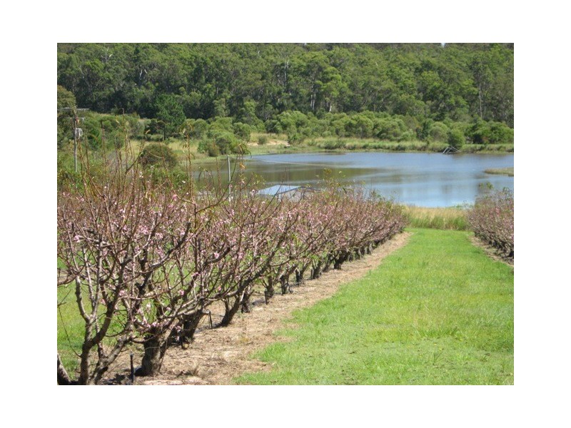 1891 Anderleigh Rd, Anderleigh QLD 4570